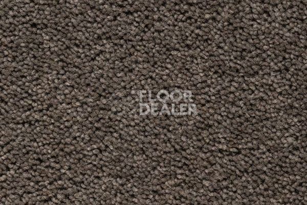 Ковролин Best Wool Pure Brunel B70006 фото 1 | FLOORDEALER