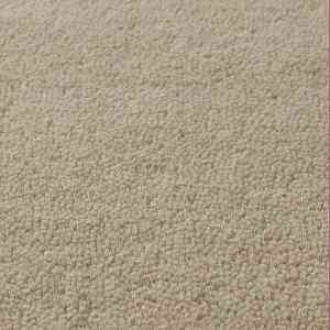 Ковролин Jacaranda Carpets Sambar Pearl фото ##numphoto## | FLOORDEALER