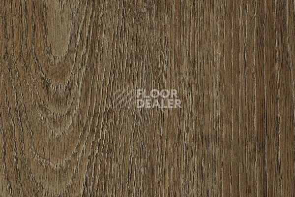 Виниловая плитка ПВХ Vertigo Trend / Wood 3310 Brushed Limed Oak 184.2 мм X 1219.2 мм фото 1 | FLOORDEALER