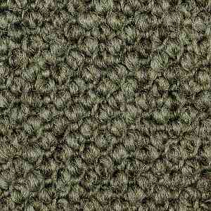 Ковролин Carpet Concept Eco Cut 60275 фото ##numphoto## | FLOORDEALER