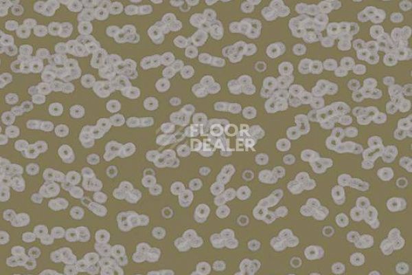 Ковролин Flotex Sottsass Bacteria 990401 фото 1 | FLOORDEALER