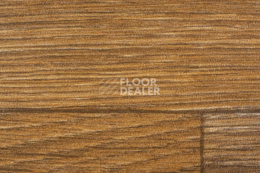 Линолеум FORBO Emerald Wood FR 5803 фото 1 | FLOORDEALER