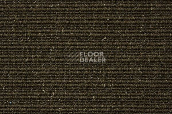 Ковролин Carpet Concept Eco Wool 596035 фото 1 | FLOORDEALER