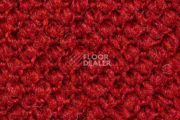 Ковролин Carpet Concept Eco Cut 10094 фото 1 | FLOORDEALER