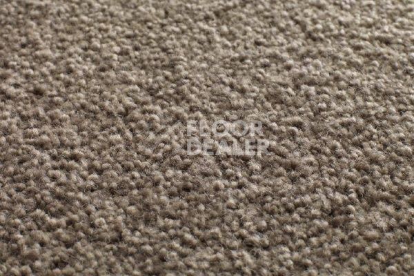 Ковролин Jacaranda Carpets Tapanui Taupe фото 1 | FLOORDEALER