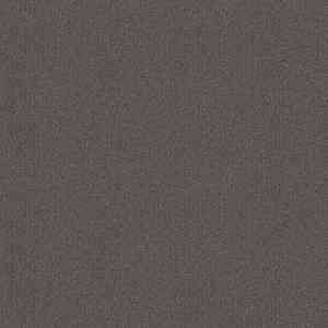 Ковровая плитка Tessera basis pro 4364 brown фото ##numphoto## | FLOORDEALER