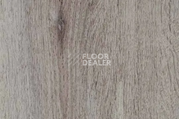 Виниловая плитка ПВХ FORBO allura decibel 0.8 wood 5101AD8 winter harvest oak (100x16.6 cm) фото 1 | FLOORDEALER