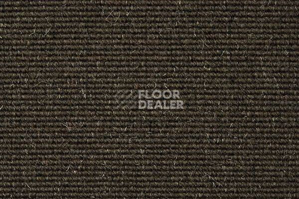 Ковролин Carpet Concept Eco Wool 595035 фото 1 | FLOORDEALER