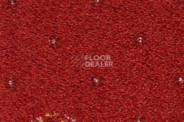 Ковролин CONDOR Carpets Australia 209 фото 1 | FLOORDEALER