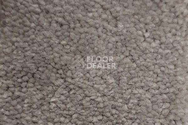 Ковролин CONDOR Carpets Chablis 115 фото 1 | FLOORDEALER