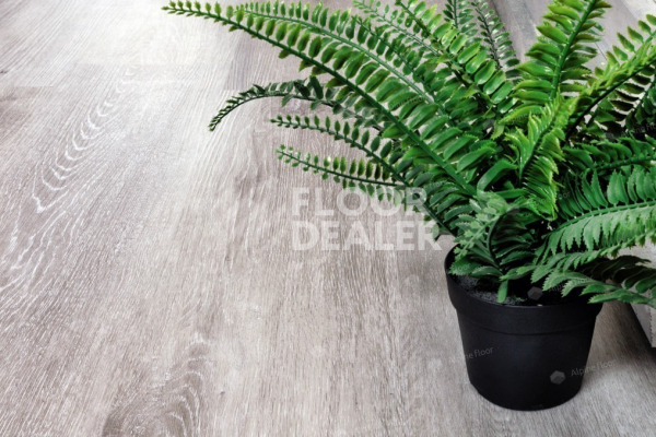 Виниловая плитка ПВХ Alpine Floor Classic Light 3.5мм Ясень Серый ЕСО134-55 фото 2 | FLOORDEALER