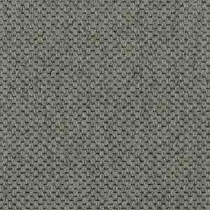 Ковролин Carpet Concept Goi 1 2805 фото ##numphoto## | FLOORDEALER