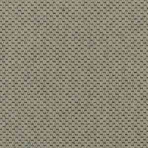 Ковролин Carpet Concept Goi 1 2801 фото ##numphoto## | FLOORDEALER