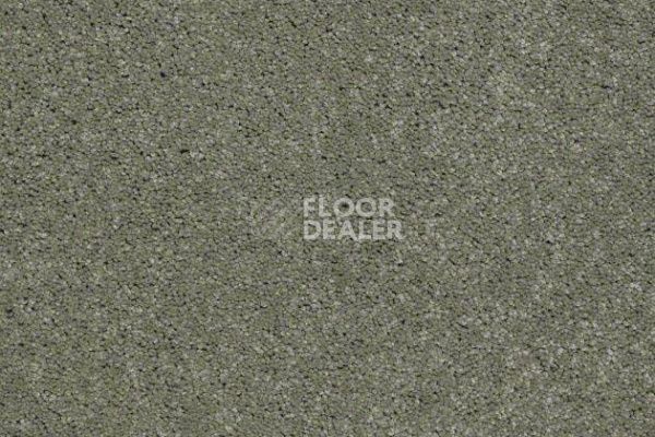 Ковролин SHAW Design Texture Platinum 344 фото 1 | FLOORDEALER