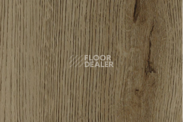 Виниловая плитка ПВХ FORBO allura decibel 0.8 wood 5424AD8 taupe antique oak (100x16.6 cm) фото 1 | FLOORDEALER