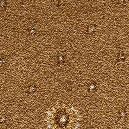 CONDOR Carpets Australia  424