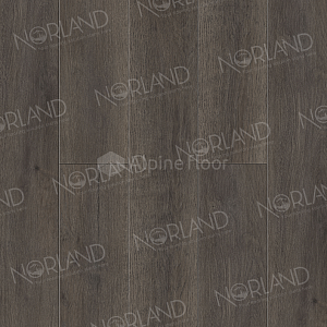 Виниловая плитка ПВХ Norland Sigrid Plus 4мм Baggy 1006-02 фото ##numphoto## | FLOORDEALER