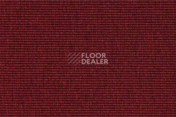 Ковролин Carpet Concept Eco 1 6627 фото 1 | FLOORDEALER