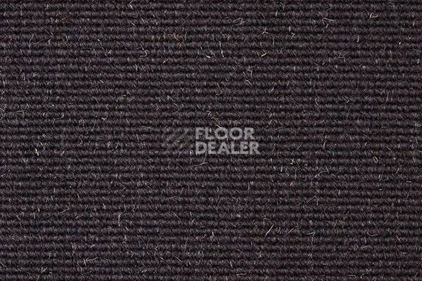 Ковролин Carpet Concept Eco Wool 595067 фото 1 | FLOORDEALER