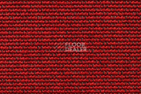 Ковролин Carpet Concept Eco Iqu 10065 фото 1 | FLOORDEALER