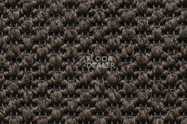 Ковролин Carpet Concept Eco Tre 681057 фото 1 | FLOORDEALER