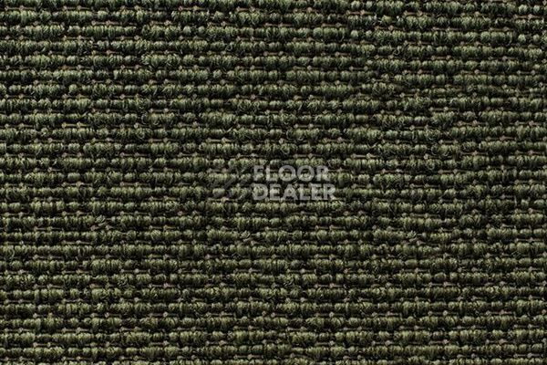 Ковролин Carpet Concept Eco Iqu 3992 фото 1 | FLOORDEALER