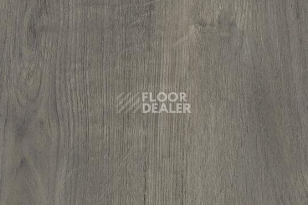 Линолеум Sarlon Wood All-over Contemporary 436222 фото 1 | FLOORDEALER
