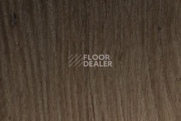 Виниловая плитка ПВХ FORBO Allura Premium 60235 фото 1 | FLOORDEALER