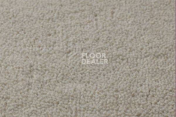 Ковролин Jacaranda Carpets Sambar Silver фото 1 | FLOORDEALER