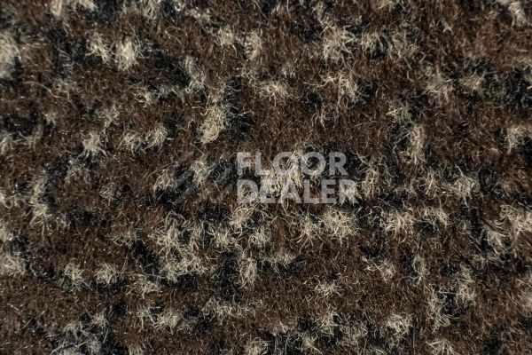 Грязезащитные покрытия Forbo Coral Classic 4784 coffee фото 1 | FLOORDEALER