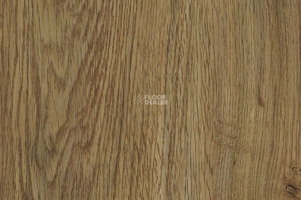 Виниловая плитка ПВХ Vertigo Trend / Wood 3325 ATLANTIC OAK 184.2 мм X 1219.2 мм фото 1 | FLOORDEALER