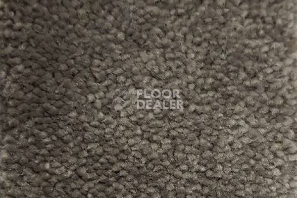 Ковролин CONDOR Carpets Chablis 122 фото 1 | FLOORDEALER