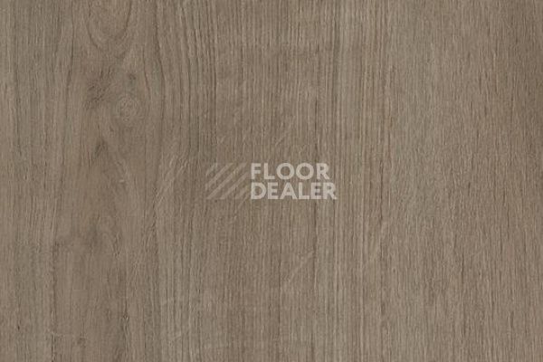 Линолеум Sarlon Wood All-over Contemporary 436223 фото 1 | FLOORDEALER