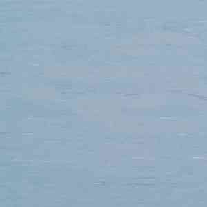 Линолеум Armstrong Solid 521-023 misty blue фото ##numphoto## | FLOORDEALER