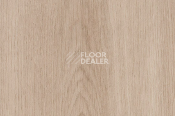 Виниловая плитка ПВХ FORBO allura decibel 0.8 wood 5303AD8 dune smooth oak (120x20 cm) фото 1 | FLOORDEALER