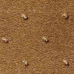 Ковролин CONDOR Carpets Africa 159 фото ##numphoto## | FLOORDEALER