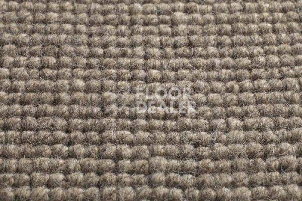 Ковролин Jacaranda Carpets Chandigarh Oatmeal фото 1 | FLOORDEALER
