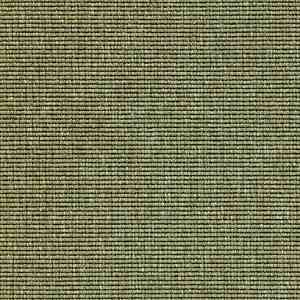 Ковролин Carpet Concept Eco 1 6635 фото ##numphoto## | FLOORDEALER