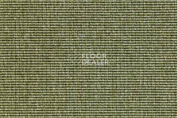 Ковролин Carpet Concept Eco 1 6635 фото 1 | FLOORDEALER