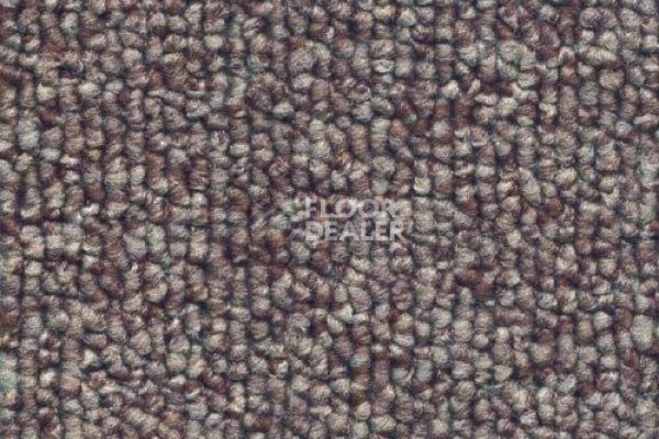 Ковролин Sintelon Horizon 17503 фото 1 | FLOORDEALER