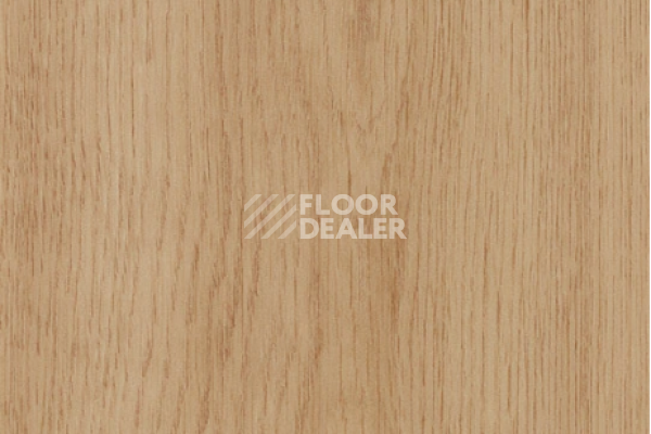 Виниловая плитка ПВХ FORBO allura decibel 0.8 wood 5313AD8 golden smooth oak (120x20 cm) фото 1 | FLOORDEALER