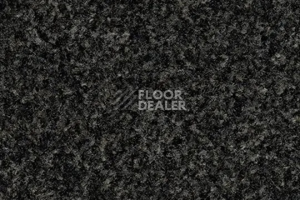 Грязезащитные покрытия Forbo Coral Pro-fit Quattro в плитке свободной укладки 5721 hurricane grey фото 1 | FLOORDEALER