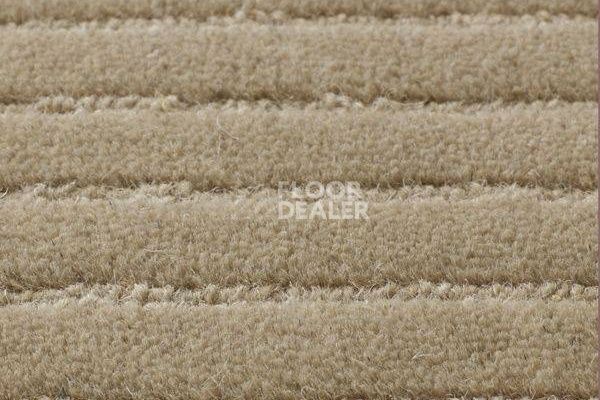 Ковролин Jacaranda Carpets Samode Taupe фото 1 | FLOORDEALER
