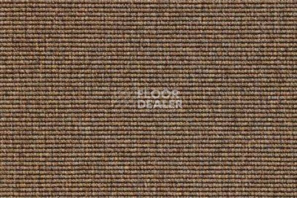 Ковролин Carpet Concept Eco 1 6605 фото 1 | FLOORDEALER