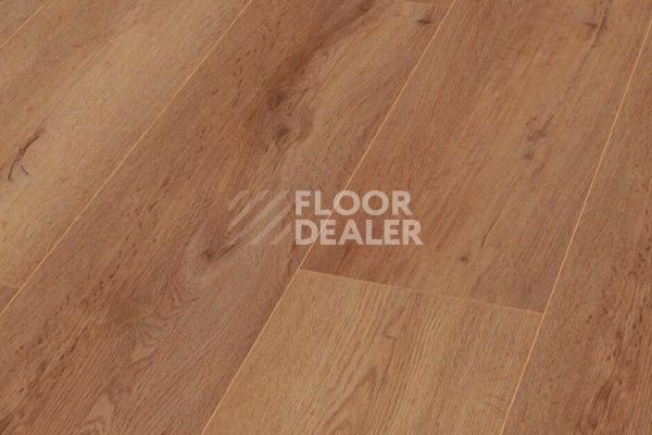 Ламинат My Floor Chalet 10мм Виверо коричневый M1026 фото 1 | FLOORDEALER