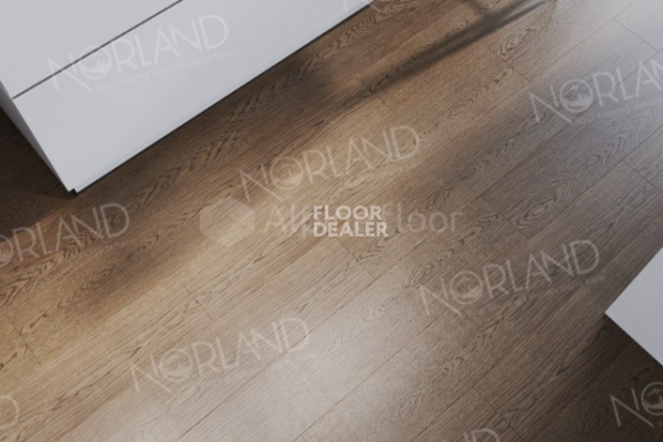 Виниловая плитка ПВХ Norland Sigrid 2мм Bent 1003-10 фото 1 | FLOORDEALER