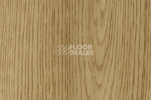 Виниловая плитка ПВХ FORBO allura decibel 0.8 wood 5404AD8 natural antique oak (100x16.6 cm) фото 1 | FLOORDEALER