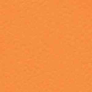 Линолеум RECREATION 60 WOOD 6160_Naranja фото ##numphoto## | FLOORDEALER