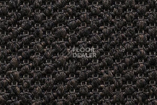 Ковролин Carpet Concept Eco Tre 681018 фото 1 | FLOORDEALER