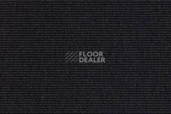 Ковролин Carpet Concept Eco 1 6601 фото 1 | FLOORDEALER